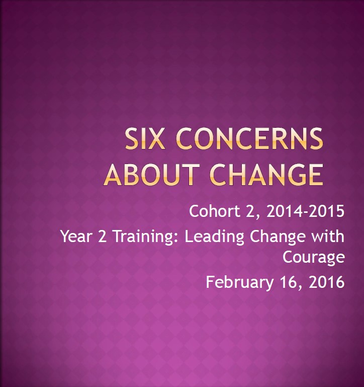 Six Concerns about change