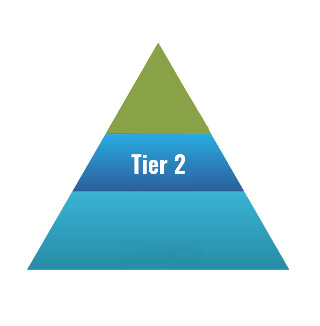 Tier 2 Pyramid