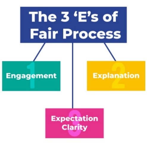 The Three E's of Fair Process : Diagram